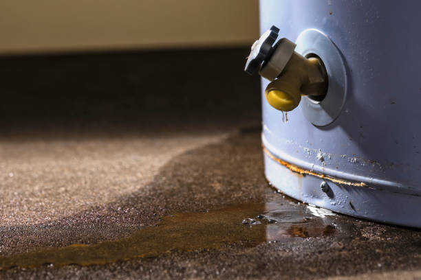 Best Carpet water damage restoration  in Ruidoso, NM