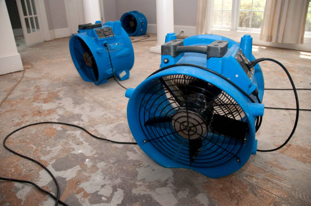 Best Basement water damage restoration  in Ruidoso, NM