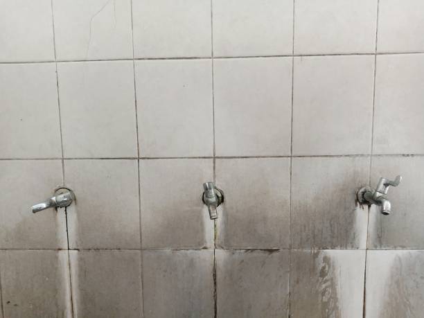 Best Water damage contractors near me  in Ruidoso, NM