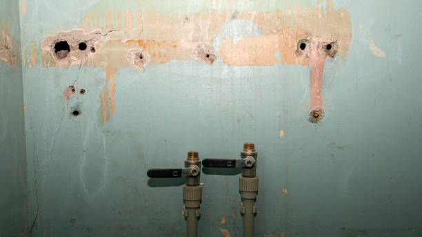 Best Mold removal after water damage  in Ruidoso, NM