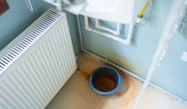 Best Basement water damage restoration  in Ruidoso, NM