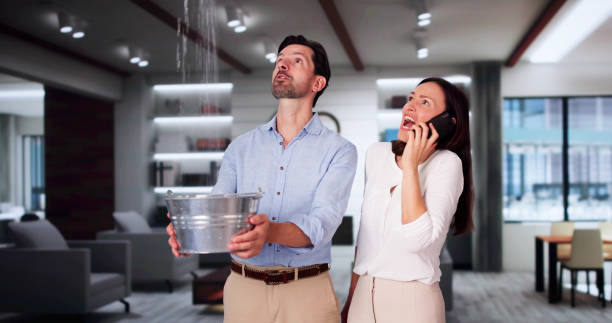 Best Professional water damage repair  in Ruidoso, NM