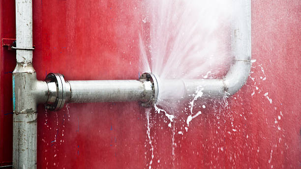 Best Flood restoration services  in Ruidoso, NM